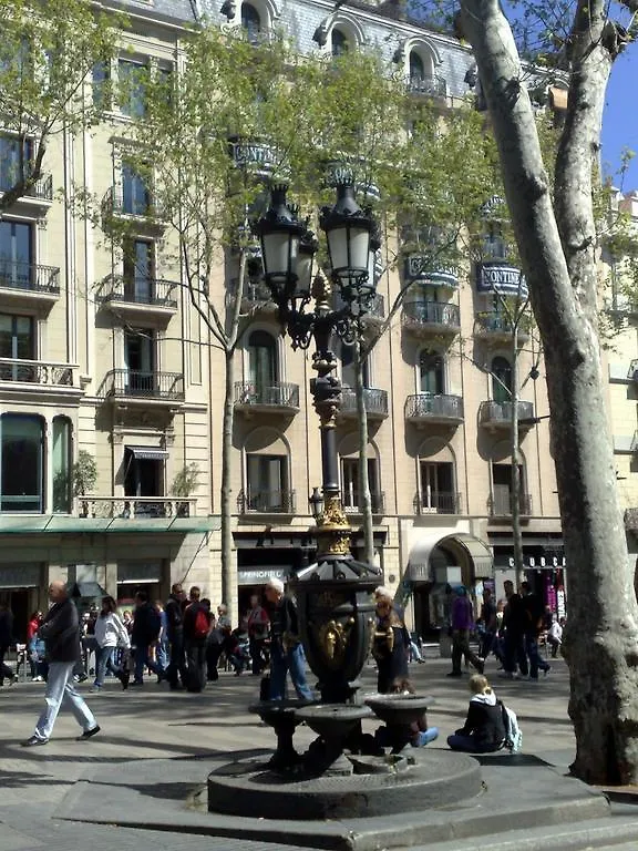 Hostal Capitol Ramblas contacts